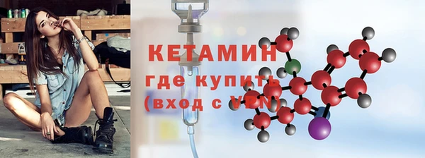 крисы Новозыбков