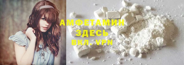 крисы Новозыбков