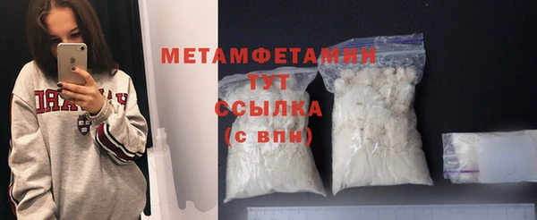 крисы Новозыбков
