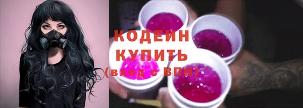 крисы Новозыбков