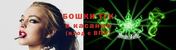 крисы Новозыбков