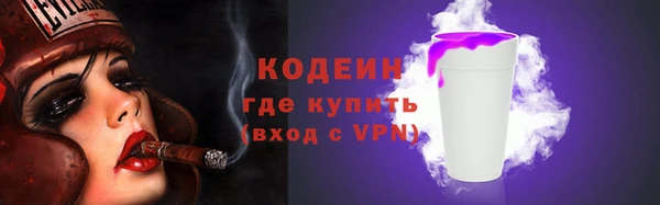крисы Новозыбков