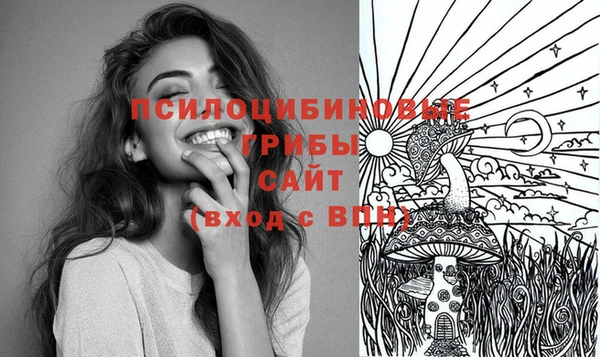 крисы Новозыбков