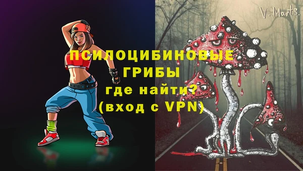 скорость Новодвинск