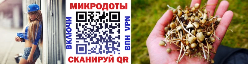 Галлюциногенные грибы GOLDEN TEACHER  OMG ссылка  Когалым 