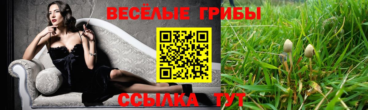 купить  сайты  Галлюциногенные грибы Psilocybe  Когалым  Псилоцибиновые грибы мухоморы 
