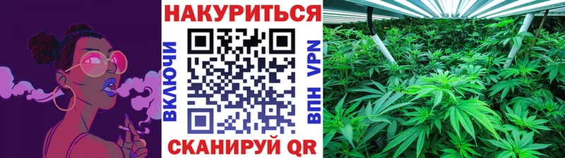 МАРИХУАНА конопля Когалым
